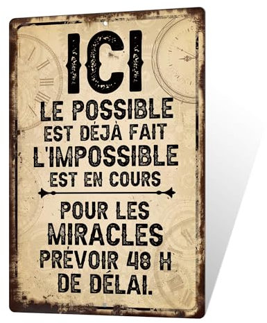 Putuo Decor Plaque Métal Humour Bureau – Décoration Bureau Vintage en Aluminium, Panneau Décoratif Métallique 30x20 cm, Style Drôle pour Entreprise ou Maison (ICI)