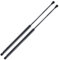 Frankberg 2x Gasfeder Heckklappe Dämpfer Kompatibel mit B.o.r.a Variant 1J6 1999-2005 Golf IV 1J1 Golf IV Variant 1J5 1997-2006 Replace# 1J6827550C, Schwarz