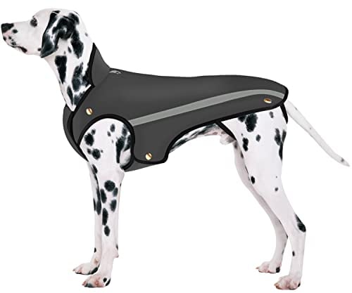 SlowTon Hunde Winterjacke, Hundemantel Einstellbare Hals und Brustgröße Haustier Weste mit Reflektierenden Streifen Wasserdicht Hundepullover Schneeanzug Warm halten (M, Grau)
