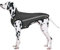 SlowTon Hunde Winterjacke, Hundemantel Einstellbare Hals und Brustgröße Haustier Weste mit Reflektierenden Streifen Wasserdicht Hundepullover Schneeanzug Warm halten (M, Grau)