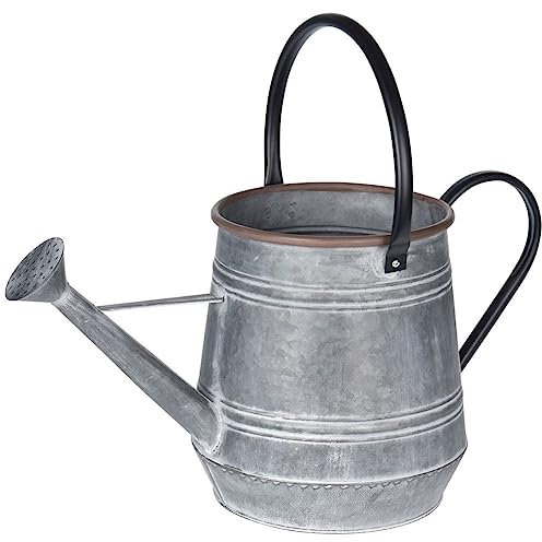 Vilde Arrosoir décoratif en métal