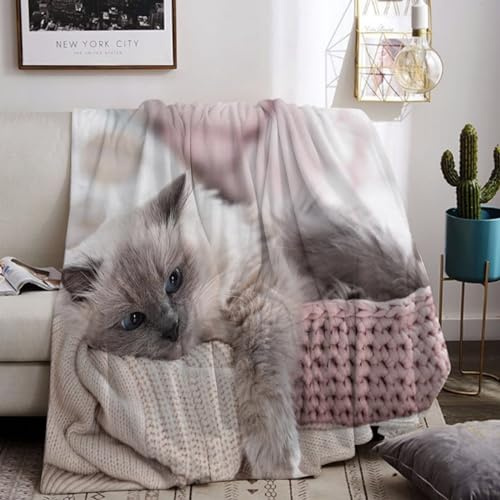 Kuscheldecke Mit Katzenmotiv 130x150cm, Sofa Decke Mit Tiermotiv, Weiche Warme Fleecedecke für Erwachsene, Warme Decken für Herbst Winter (A, 130x150cm)