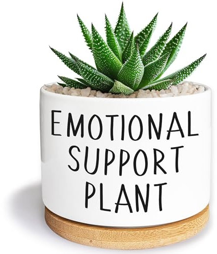 Kwtzkuo® Emotional Support Plant, Funny Succulent Pots, 3.5 inch Ceramic Flower Plant Pots, Cute Cactus Planters with Drainage Hole, Small Cute Planter Gift