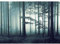 Runa Art Papier peint intissé Mural forêt brouillard Moderne Toison Salon Chambre à Coucherr Salle - Tableaux Muraux Tapisserie Photo - turquoise 9291010b