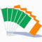 AhfuLife Irische Klein Flaggen für St. Patrick's Day Deko, 100 Stück Irland Handflaggen mit 30 cm weißem Pole für 2024 Fans Fußball Euro St. Patrick's Day Party Zuhause Garten Bar Deko