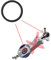 Joint d'étanchéité n°10 PERFECTDRAFT pour HD3720 HD3620 HD3610 HD3600, Remplacement tireuse à bière, Joint torique, Gasket, COOKTOP, Electric, À induction