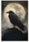 FireDeer Vintage-Halloween-Wandkunst, schwarze Krähe, Leinwanddrucke, Gothic-Raben-Poster, dunkle Akademie, gruselige Malerei, Horrorbild, Heimdekorationen