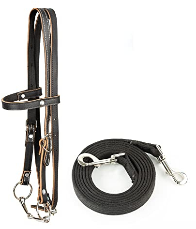 Y.J TAILS Ledertrense für Pferde, verstellbare Western-Stirnband-Zaumzeug für Pferde mit Gebissen und abnehmbaren Zügeln (L (über 1,2 Meter), Schwarz)