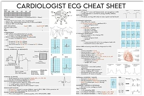 Metallschild im Vintage-Stil, Ecg Knwoledge, Kardiologe, Ecg Spickzettel, Studie, Infografik, Poster, Büro, Club, Zuhause, Wanddekoration, Plakette, 20,3 x 30,5 cm