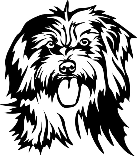 Aufkleber Rassehund Berger des Pyrenees