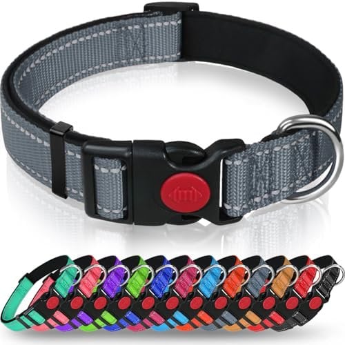 Taglory Hundehalsband, Weich Gepolstertes Neopren Nylon Hunde Halsband für Große Hunde, Verstellbare und Reflektierend für das Training, Grau