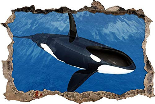3D Wandtattoo schöner orca im blauen meer Bild selbstklebend Wandbild sticker Wohnzimmer Wand Aufkleber, Wandbild Größe 56X81cm