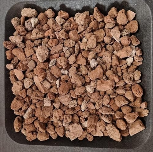 AlmaStore Lapillo Vulcanico Rosso per Piante Grasse | Giardino | 3/5 mm - 5/10 mm - 10/15 mm | 1 kg (1,1 Litri), 5 kg (5 Litri), 10 kg (10 Litri) | Lava vulcanica (10/15 mm, 1 kg (1,1 Litri))