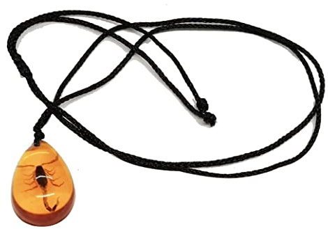 Snner Skorpion Anhänger klassische Halskette Amber Look Anhänger zarte Bernstein Halskette Scorpion Halskette 1 Stück