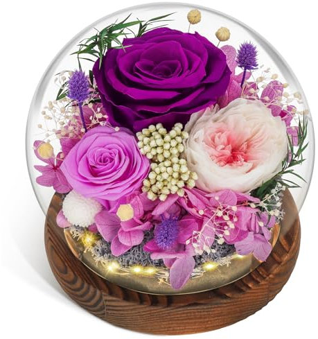 CSYY Rosa Eterna, Regalo di Natale Vetro con Luce Infinity Vetro Rosa Viola e Austin Conservati Infiniti Durevoli Fiore Viola Luce Regali Eterni Donne Mamma Fidanzata Moglie San Compleanno Viola