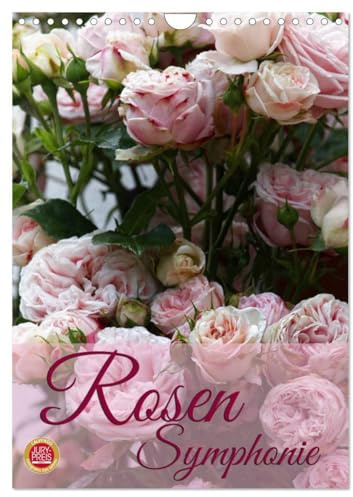 Rosen Symphonie (Wandkalender 2026 DIN A4 hoch), CALVENDO Monatskalender: Erleben Sie eine wundervolle Rosen Symphonie (CALVENDO Natur)
