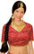 Panelize Bollywood Haremsdame Bauchtanz Orient 1001 Nacht Bollywoodperücke + Schmuck