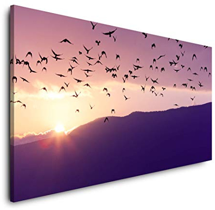Vogelschwarm im Sonnenuntergang 120x 60cm Panorama Leinwand Bild XXL Format Wandbilder Wohnzimmer Wohnung Deko Kunstdrucke