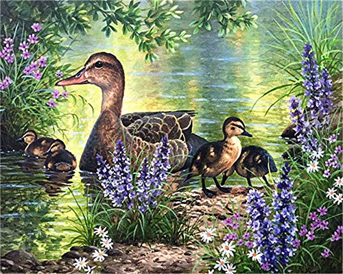 YEESAM ART DIY Ölgemälde Malen nach Zahlen Erwachsene Kinder, Enten Fluss Lila Blumen Zahlenmalerei ab 5 Öl Wandkunst (Enten, mit Rahmen)