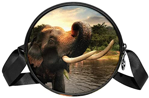 Wild Elephant Baden Sonnenuntergang Wald Umhängetasche Messenger Bag Geldbörse für Frauen, Mehrfarbig, 6.7x6.7x2.3 in, Sling Rucksäcke