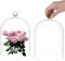 UNICRAFTALE Cloche en Verre Transparent Dôme en Verre Objets de Collection Antiques Dôme Vitrine Cloche Décorative avec Poignée en Boule pour Plantes Lumineuses Décoration de Table Médaille Photos