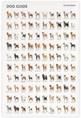UTGN Poster auf Leinwand, Motiv 100 Hunderassen, 50 x 75 cm