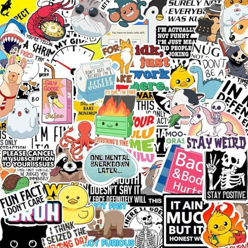 dinghaole 130 Stück Lustige Sticker Set, Graffiti Sticker Set, Wasserfeste Vinyl sticker für Laptop Kindle Skateboard Kühlschrank MacBook Scrapbook Koffer Journal Stickerbomb