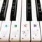 Coyaho Multicolor Piano Keyboard Stickers for 88/61/54/49/37 Key, Bold Large Letter, Removable, Waterproof, Plastic, Musical Notes