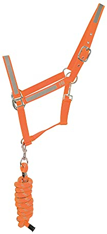 HyVIZ Reflektor Halfter und Führstrick (Cob) (Orange)