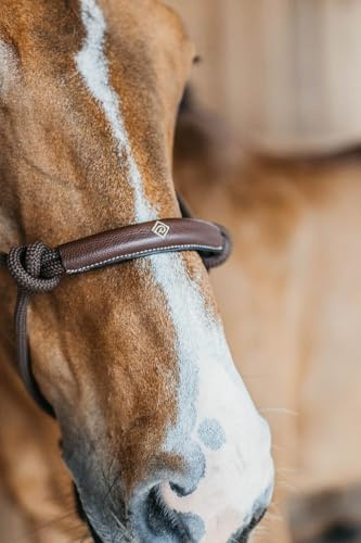 Kentucky - Dyon Trainingshalfter Braun Cob WBD