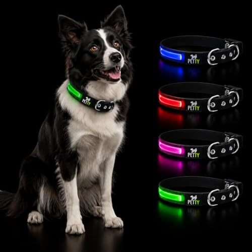 PettyItalia LED Hundehalsband aus BioThane® – Leuchthalsband Hund Wiederaufladbar, Wasserdicht, Hohe Sichtbarkeit bei Nacht, Verstellbar für kleine, mittelgroße und große Hunde (Grün, XXS)