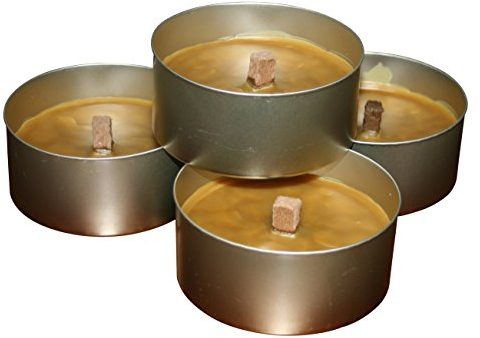 10 Flammschalen, Outdoorkerzen, Partyfeuer für Garten Deko mit je 4 Std. Brennzeit von Aktivhandel