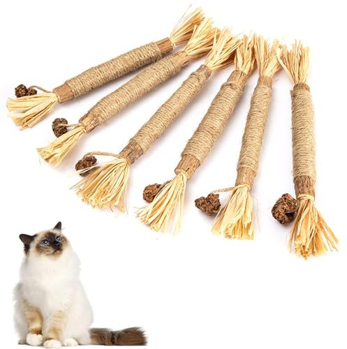 YHT 6Pcs Natural Matatabi Silvervine Chew Sticks for Indoor Cat Teeth Cleaning, Stress Release Toy for Dental Care and Kitten Teething