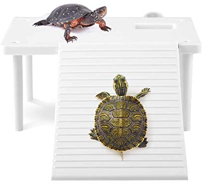 YOUTHINK Reptiles Tortue Plate-Forme Flottante avec Échelle d'escalade Terrarium Aquarium Tank Ornament Turtle Pier Floating Reptiles Basking Platform for Lizard Turtle Spider