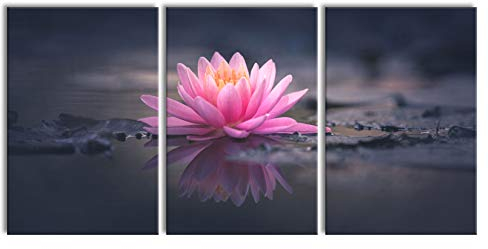 Pixxprint Leuchtende Lotusblüte auf Grauer Pfütze, XXL Leinwandbild in Übergröße 240x120cm Gesamtmaß 3 teilig/Wandbild/Kunstdruck