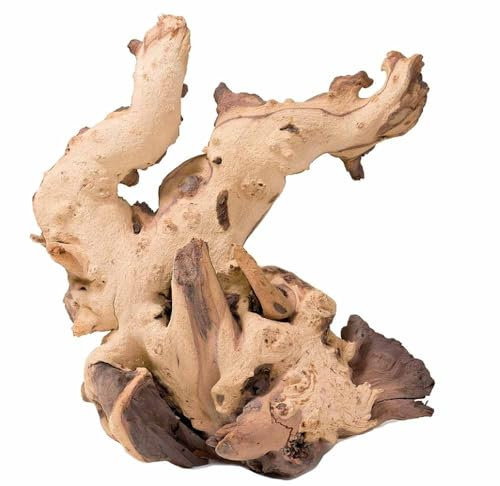 Biotope Aquatics Ltd Mopani - Acquario affondabile – varie dimensioni – legno naturale di palude per pesci decorazione in legno per paesaggio, felce di Giava o muschio (23-35 cm)