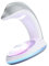 CLSSLVVBN Dauphin arc-en-ciel USB Rechargeable veilleuse mignon projecteur chambre salon lampe double usage fête à piles cadeau, gris