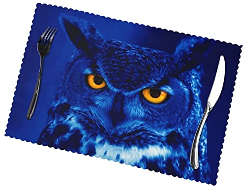 Blaue Eulen-Platzdeckchen, rutschfest, hitzebeständig, für Esstisch, 45 x 30 cm, 6 Stück