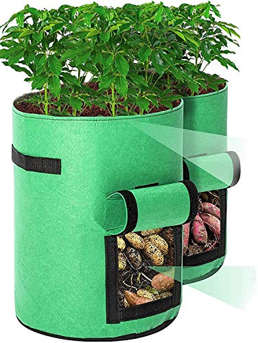 Cefrank Pflanzen Tasche, 2er Kartoffel Pflanzsack Pflanzbeutel 10 Gallonen mit Griffen und Sichtfenster Klettverschluss - 30 x 40cm (Grün)