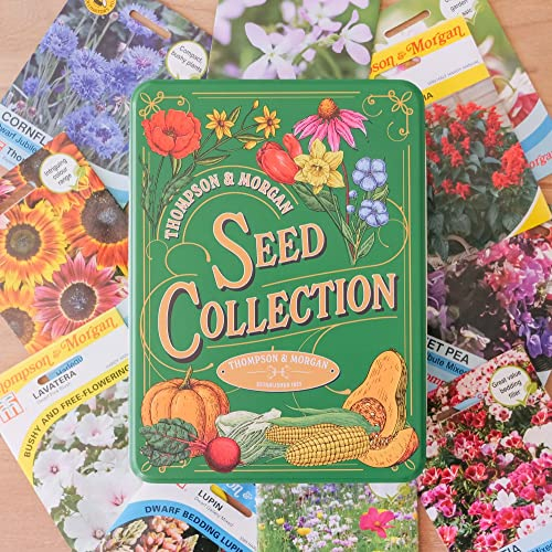 Seed Collection Storage Tin with 10 Packets of Flower Seeds by Thompson and Morgan