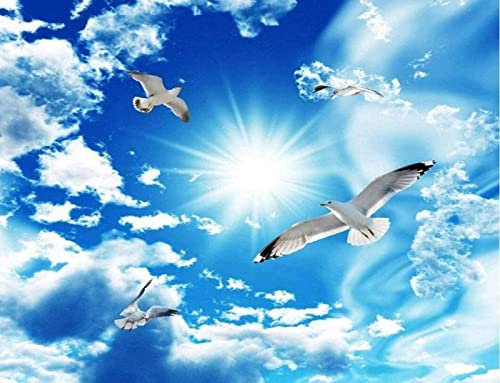 Tapete 3D Wandbild Himmel Möwe Decke Fototapete 3D Effekt Vliestapete Wohnzimmer Schlafzimmer Wanddeko
