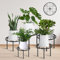 MEEYUU 5 Pack Metal Plant Stands, Heavy Duty Flower Pot Stands for Multiple Plant Rack Holder, Anti-Rust Metal Round Stand for Room Indoor and Outdoor Courtyard, Gardens