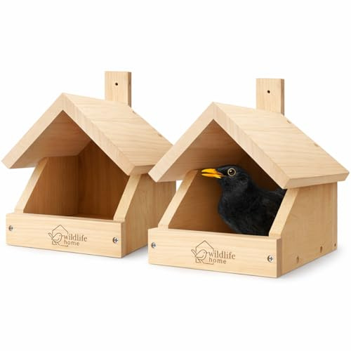 WILDLIFE HOME Amsel Nistkasten – 2er Set I Halboffen aus verschraubtem Massiv-Holz I Halbhöhle Wetterfest & Unbehandelt I Amselhaus Vogelhaus zum Aufhängen für Halbhöhlenbrüter, Rotkehlchen, 2 Stück
