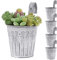BOFUNX 5Pcs Vintage Metal Flower Pots Hanging Garden Planter with Hook for Balcony Garden Fence Home Decoration