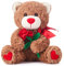 IKASA Teddybär Kuscheltier Liebes Plüschtier mit Schleife für Valentinstag, süßer 27cm Plüsch mit Rosen weichem Spielzeug, Valentinstagsgeschenke