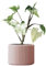 OSLO | Blumentopf aus BETON | KEIN 3D DRUCK | Übertopf | Pflanzenhalter | Blumenvase | verschiedene Farben | verschiedene Größen | EDITION ONE | LIATH® (M | 12cm, Coral)