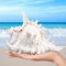 MEYAGOT Natürliche Muscheln,18-20cm Große Natürliche Muschelschalen,Große Muscheln Zum Basteln,Riesige Ocean Muschel Für DIY Handwerk Dekor,Strand-Mottopartys,Hochzeitsdekor