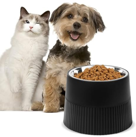 Ksrnsne Elevated Dog Bowl, Raised Dog Feeder with Removable Stainless Steel Food and Water Bowl, Non-Skid Dog Dish Black 18 X 13cm
