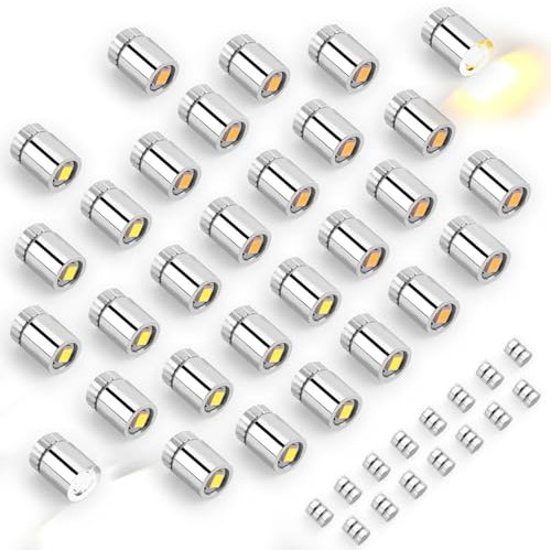 30pcs Miniature LED Lights, Warm White & Cool White Mini Electric Micro Tiny Small Lights Battery Operated with 15pcs Batteries for Crafts Dolls House Paper Lantern Decoration Dollhouse Accessories