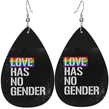 Pride Gay Pride Lesben Lgbt Pansexuelle Ohrringe Leder Teardrop Niedlich Ästhetische Hänge-Ohrringe Geschenke für Frauen Mädchen, Einheitsgröße, Leder Polyvinylchlorid